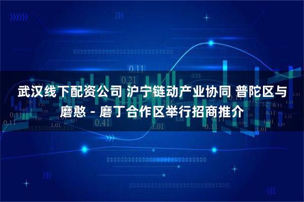 武汉线下配资公司 沪宁链动产业协同 普陀区与磨憨－磨丁合作区举行招商推介